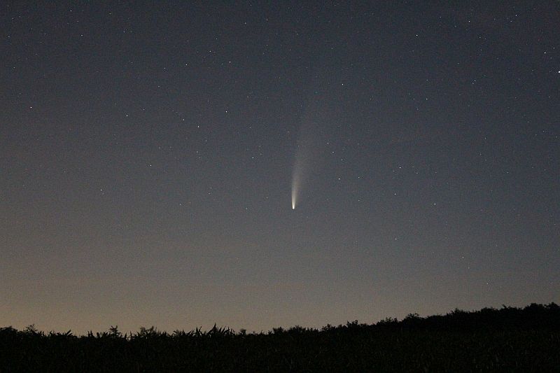 The Antimatter-Comet is no Killer-Comet!